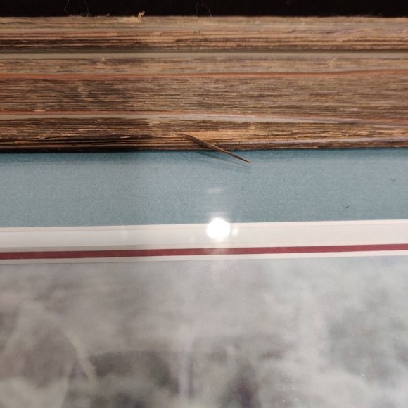 Hippopotamus Photography Lake Manyara National Park Tanzania Africa Lee-Margaret - Picture 10 of 15